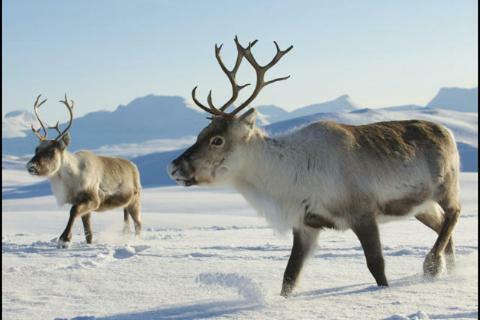 Kirkenes Hotell エクステリア 写真